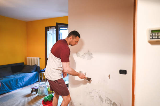 Best Mold Remediation  in New Brockton, AL